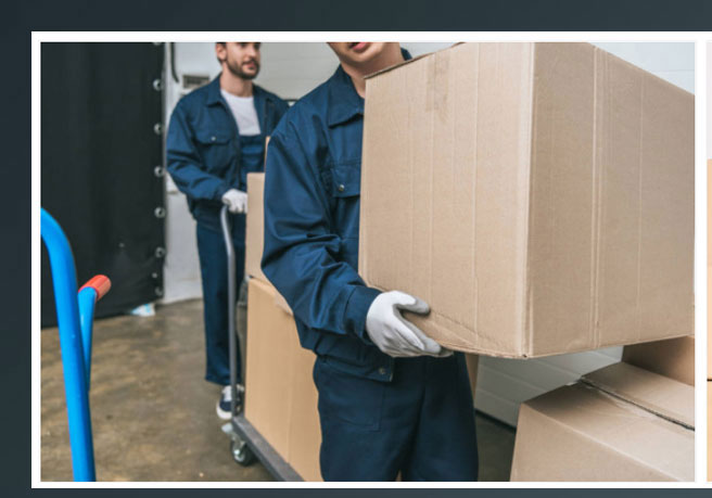 Packers And Movers Noida Sector 15